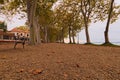 Stunning landscape photo of Lake Balaton during sunset. Beautiful plane tree alley is famous touristic place.