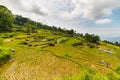 Stunning landscape of rice fields on the mountains of Batutumonga, Tana Toraja, South Sulawesi, Indonesia. Panoramic view from abo