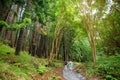 Stunning landscape view seen from Waihee Ridge Trail, Maui, Hawaii