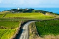 The stunning landscape of the way in a rural area in New Zealand. Gravel road among green grassland with blue sky. I Royalty Free Stock Photo