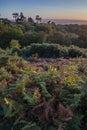 Stunning late Summer evening sunset with vibrant colours in South Downs National Park UK