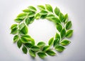 Stunning Long Exposure Image of a Lush Green Leaf Circle Isolated on White Background for Design and Environmental Royalty Free Stock Photo