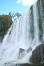 Low angle view of Iguazu Falls at Argentinian side, UNESCO World Heritage in Puerto Iguazu, Argentina Royalty Free Stock Photo