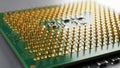 Golden Pins of a Computer Processor (CPU) Macro Shot Royalty Free Stock Photo