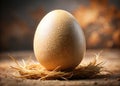 Stunning Macro Detail of a Pristine Ostrich Egg Natural Texture Smooth Shell and Neutral Background for Long Exposure Royalty Free Stock Photo