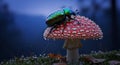 Shimmering cosmic beetle on a mystical toadstool Royalty Free Stock Photo