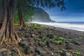 Stunning magical landscapes of the Big Island of Hawaii with palms, sunsets and big sky scenics