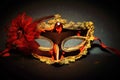 Stunning Mask For Ladies Fashion Events