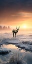 Stunning Meadow Photography: Capturing The Beauty Of Reindeer In Frozen Landscapes