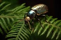 stunning metallic beetle perched on a fern