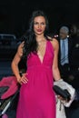 Stunning Model in Fuchsia at 2008 Time 100 Gala in New York City