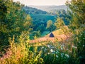 Stunning morning scene of Rogojel village. Sunny summer landscape of Cluj County, Romania, Europe. Beauty of countryside concept