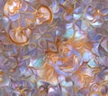 Stunning Mother of Pearl Texture Iridescent Shell Background Royalty Free Stock Photo