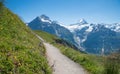 Stunning mountain landscape Bernese Alps, hiking trail Grindelwald first, bluebells beside the path