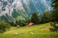 Stunning mountain landscape of Lauterbrunnen valley, Switzerland. Hiking trail from Murren to Gimmelwald village. Sheep Royalty Free Stock Photo