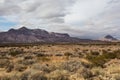 Stunning mountain range rising behind a vast desert vista landscape behind beautiful desert vista Royalty Free Stock Photo