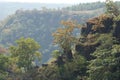 Stunning Mountains with Beautiful Trees