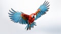 Stunning Narrative-driven Visuals: Red And Blue Parrot In Flight