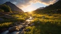 Golden Hour Wilderness Landscape: Mountain Stream In A Grassy Valley