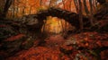 Autumns Gateway: A Natural Arch in a Maple Forest