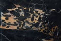 A stunning natural black marble with yellow veins called Nero Portoro