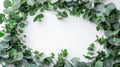 Natural Eucalyptus Branch Wreath Frame with Leaves, Isolated on White Background - Top View Flat Lay Royalty Free Stock Photo