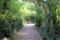 Stunning nature inside Enfield town park