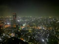 Stunning night light scene of misty raining Tokyo metropolis in