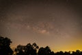 Stunning night sky featuring a myriad of stars and constellations illuminated against trees