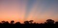 Stunning orange and red sunrise at Sabi Sands Game Reserve, Kruger, South Africa.