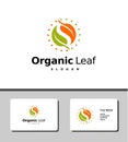 Stunning organic leaf logo