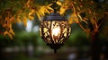 stunning outdoor light fixture Royalty Free Stock Photo
