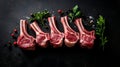 Stunning overhead view of raw lamb chops and mutton cutlets on ribs against dark background Royalty Free Stock Photo