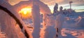 Stunning panorama background of snowy frozen trees firs landscape in winter in Black Forest - Snow view winter wonderland Royalty Free Stock Photo