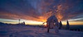 Stunning panorama background of snowy frozen trees firs landscape in winter in Black Forest - Snow view winter wonderland Royalty Free Stock Photo