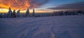 Stunning panorama background of snowy frozen trees firs landscape in winter in Black Forest - Snow view winter wonderland Royalty Free Stock Photo