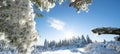 Stunning panorama of snowy landscape in winter in Black Forest - Snow view winter wonderland snowscape background banner with Royalty Free Stock Photo