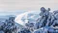 Stunning panorama of snowy landscape in winter in Black Forest - Snow winter wonderland snowscape with frozen defocused firs in Royalty Free Stock Photo