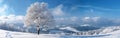 Frozen Beauty: Panoramic View of Snowy Black Forest Landscape with Icy Trees at Schliffkopf Royalty Free Stock Photo