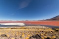 Stunning panoramic view of Laguna Colorada, in Bolivia