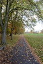 Stunning pathway in Regent\'s Park