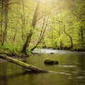 Stunning peaceful Spring landscape image of River Teign flowing through lush green forest in English countryside Royalty Free Stock Photo