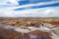 Stunning petrified wood in the Petrified Forest National Park, Arizona Royalty Free Stock Photo