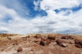 Stunning petrified wood in the Petrified Forest National Park, Arizona Royalty Free Stock Photo