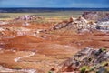 Stunning petrified wood in the Petrified Forest National Park, Arizona Royalty Free Stock Photo