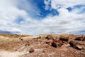 Stunning petrified wood in the Petrified Forest National Park, Arizona Royalty Free Stock Photo