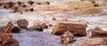 Stunning petrified wood in the Petrified Forest National Park, Arizona, USA Royalty Free Stock Photo