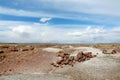 Stunning petrified wood in the Petrified Forest National Park, Arizona, USA Royalty Free Stock Photo