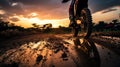 A motorbike tire racing on a dirt track as the sun sets in the background. Royalty Free Stock Photo