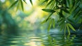 Serene Reflections: Bamboo Leaves in Rendered Water Royalty Free Stock Photo